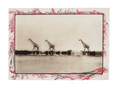 Giraffes in Mirage on the Taru Dessert, Kenya, June 1960