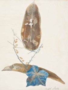 Blue Ivy, Bittersweet and Leaves