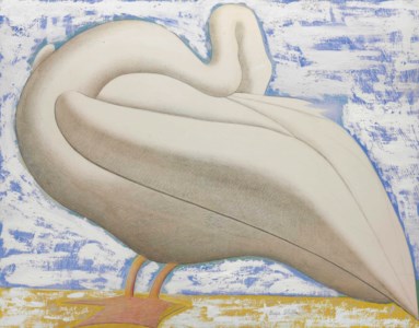 White Swan
