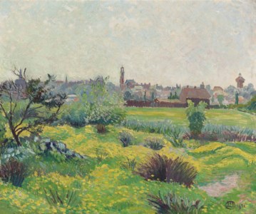 Buttercups, Colchester