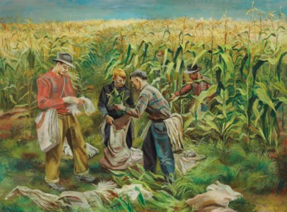 Cornfield
