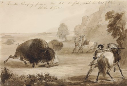 Hunters Escaping from a Wounded Buffalo, While He Tears Their Clothes to Pieces