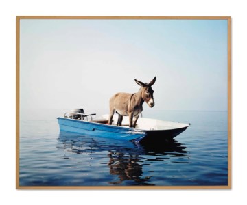 Untitled (Donkey)