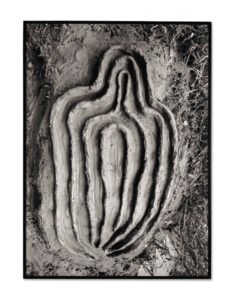 La Vivificación de la Carne: El Laberinto de Venus Series (The Vivification of the Flesh: Labyrinth of Venus Series)