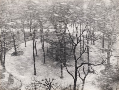 Le Square des Epinettes, 1950