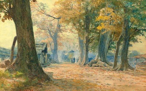 Country road in autumn