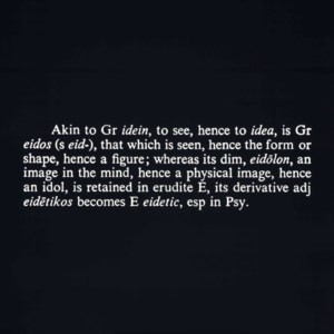 Titled (Art as Idea as Idea) [Akin]
