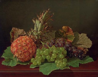 Still Life with Pineapple and Grapes