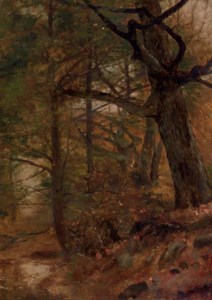 A Grove of Trees, Ashokan, New York