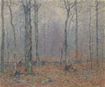 Thru December Woods