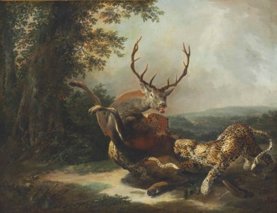 A leopard attacking a stag in a landscape
