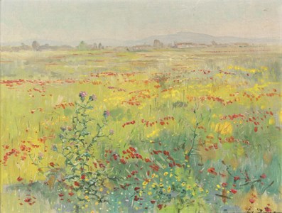 A poppy field before a Greek village