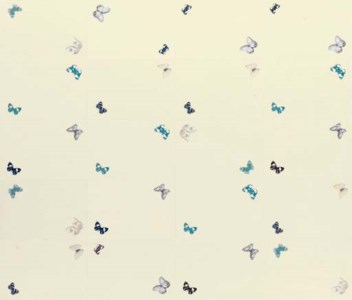 Wallflowers (Butterflies)