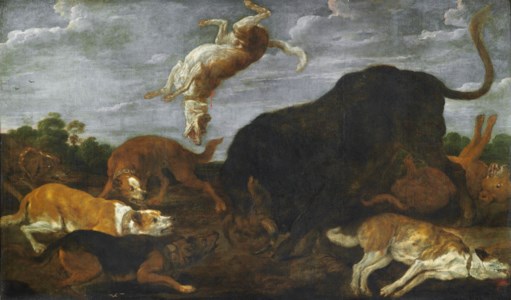 Hounds attacking a bull