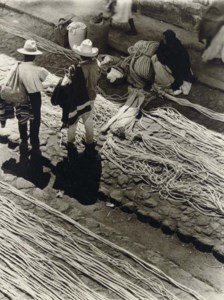Rope Market, 1932; Two Women, c. 1940s; Fruit Vendor, 1932; Zorina and Charles Laskay in 'Fools in Love' from Louisiana Purchase, c. 1940s