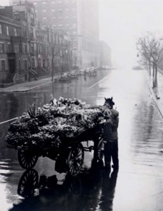 Untitled (Flower Seller), 1948