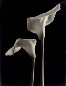 Callas, 1998