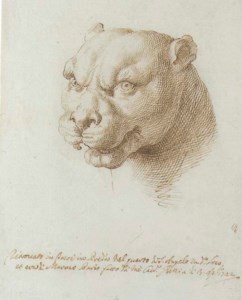 Head of a panther, after the Antique