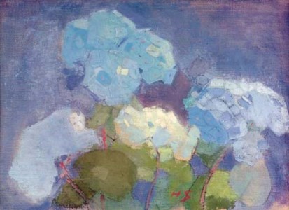 Hortensia (Hydrangea)