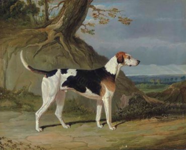 Maleburn , a Foxhound in a Wooded Landscape