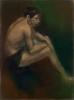 The Swimmer