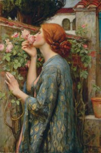 The Soul of the Rose