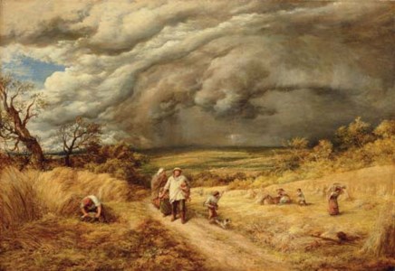 STORM IN HARVEST