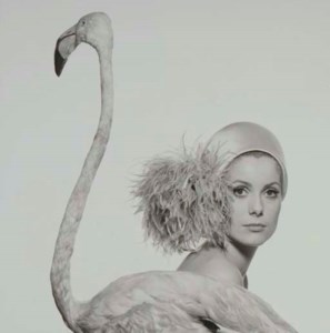 Catherine Deneuve, 1967