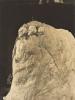 A photograph of a model of Mount Rushmore