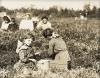 A pair of photographs representing workers in fields