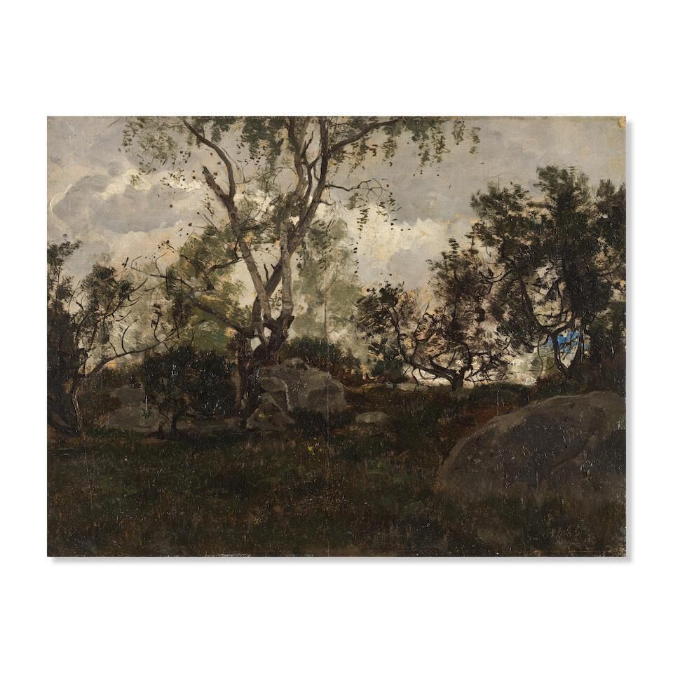 Rochers à Chailly, forêt de Fontainebleau