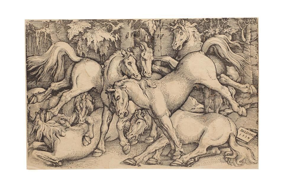 Group of Seven Wild Horses (Bartsch 56)
