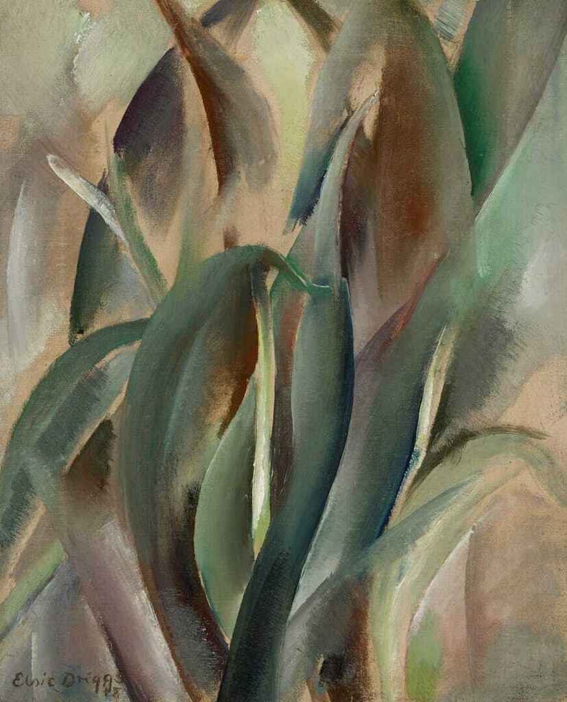Leaf Forms