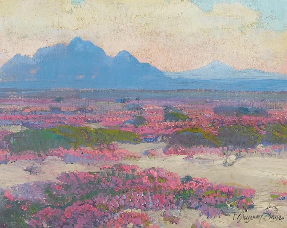 Desert in Bloom