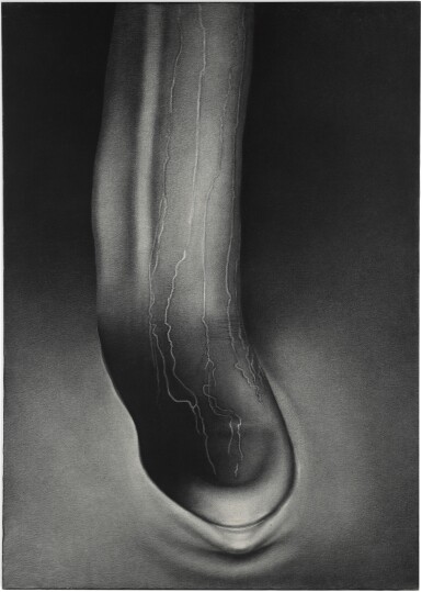 Metamorphosis - (III)