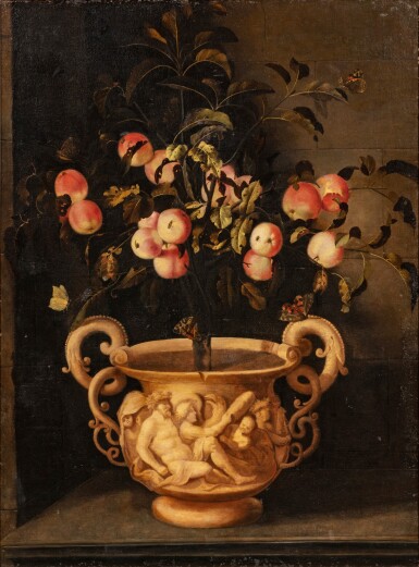 Apple tree in a terracotta pot