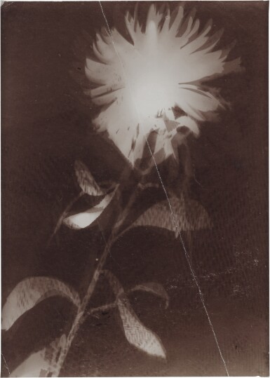Untitled (fgm 30)
