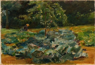 Kohlfeld im Wannseegarten (Cabbage patch in the Wannsee garden)