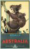 JAMES NORTHFIELD (1887-1973).  AUSTRALIA / KOALA (NATIVE BEAR). 1931. 39¾x24½ inches, 101x62¼ cm. J.E. Hackett, Melbourne.