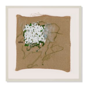 Untitled #25