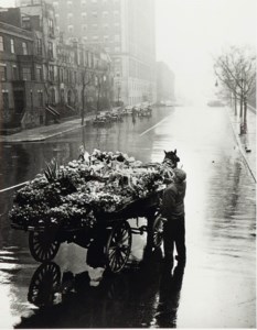 Untitled (Flower Seller), 1948