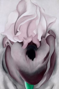 Georgia O'Keeffe, Black Iris VI