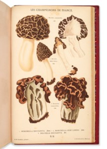 Les Champignons de la France. Paris : Rothschild, 1870.