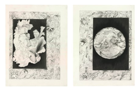 Fantastical Forms #1 and #2