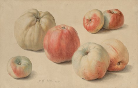 Les Pommes