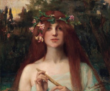 A nymph