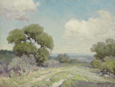 Morning in the Live Oaks, Boerne, Texas