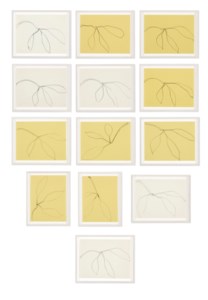 Thirteen Drawings