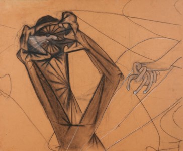 The Adventures of a Biomorphic Couple