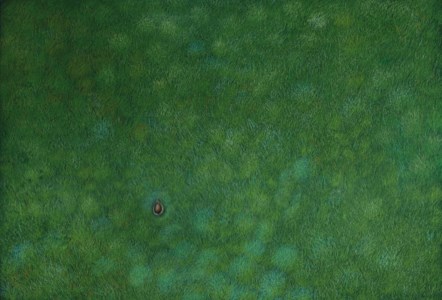 Champs de coques de chataigne avec un fruit ouvert (Fields of Chestnut Shells with an Open Fruit)